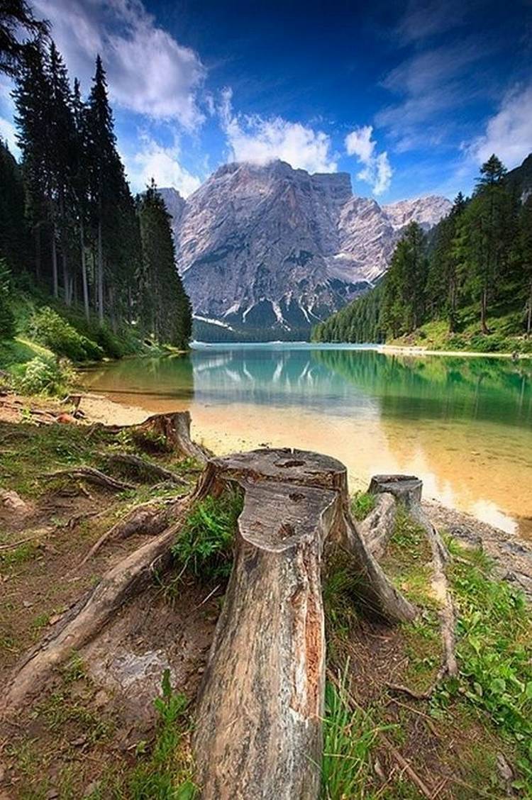 Формат вертикального фото. Озеро Брайес Италия. Доломитовые Альпы озеро Брайес. Красивая природа. Природа вертикальные.