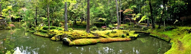 сад мхов в Японии