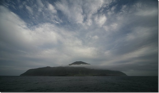 Tristan da Cunha, birds 1528_RJ