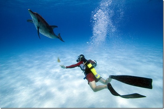 Brandon and spotted dolphin, Bahamas
