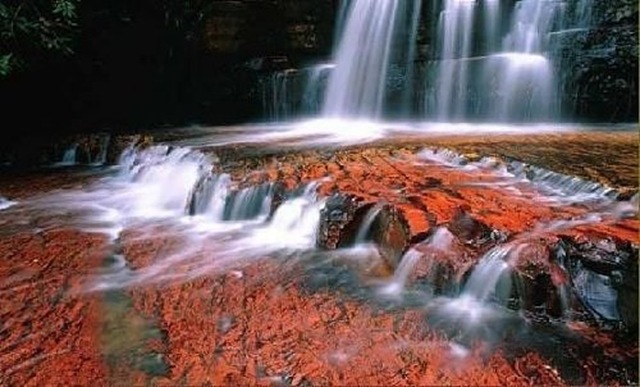 водопад Cano Cristales