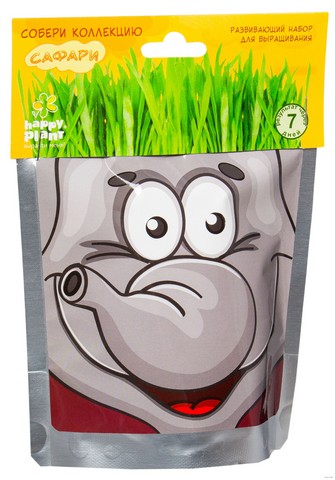 сафари сафари