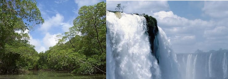 Амазонские джунгли Бразилии