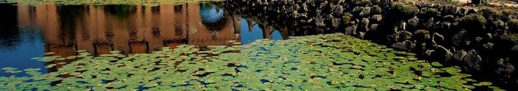 Природа Дании и морской пейзаж