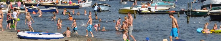 Пейзаж Нидерландов с ветряными мельницами