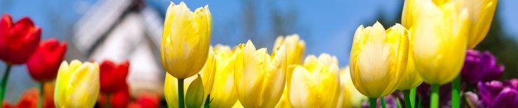 Городской пейзаж Нидерландов с исторической архитектурой