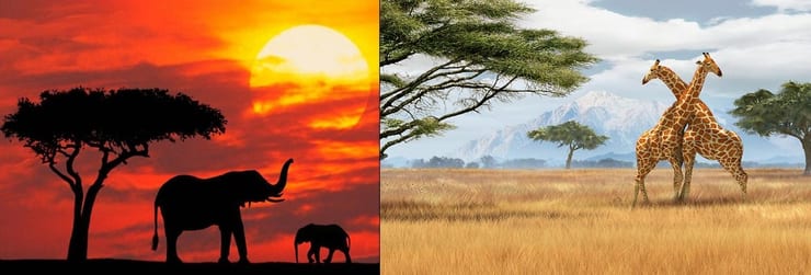 природа африки