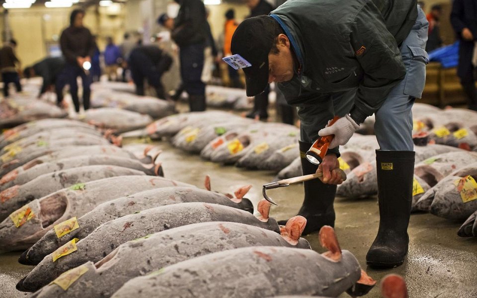 Фото Японский рыбный рынок Цукидзи в Токио