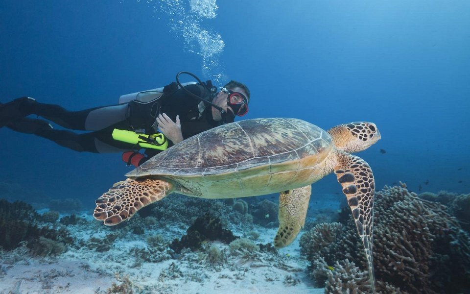 Фото Риф Туббатаха, Филиппины