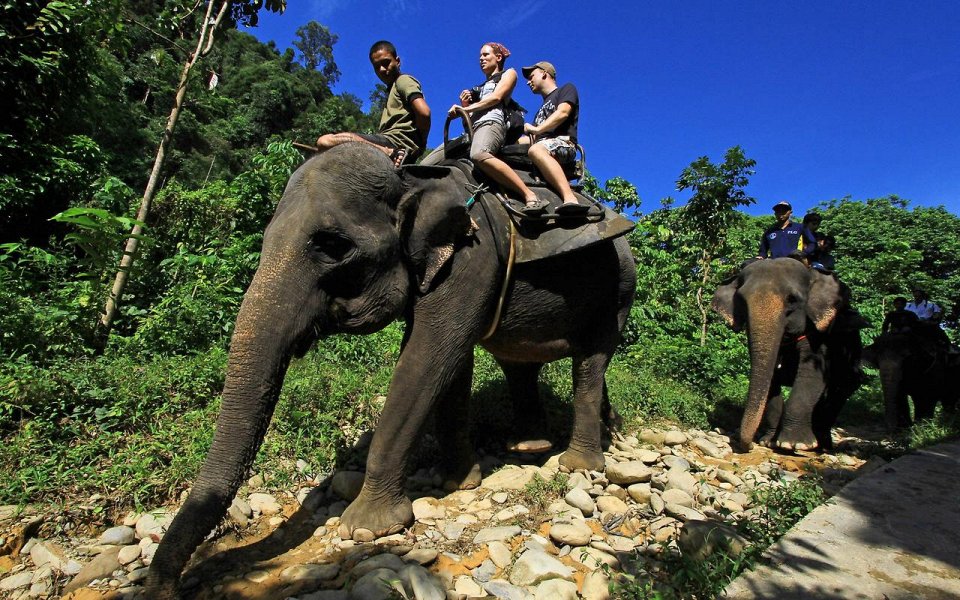 Фото Верхом на слонах в Индонезии