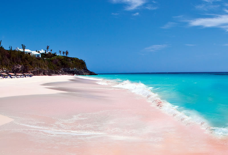 Фото Розовые песчаные пляжи