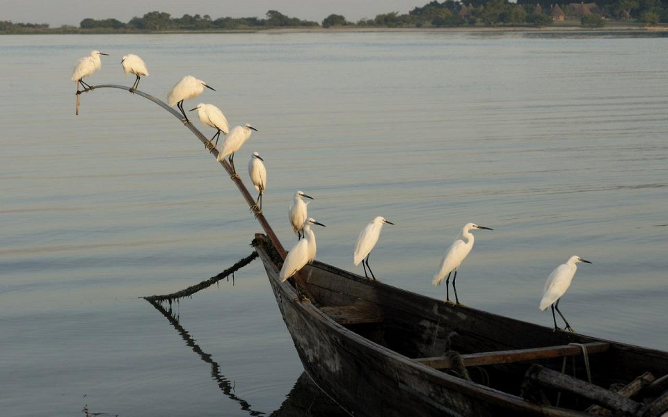 Фото Острова Сесе, Уганда