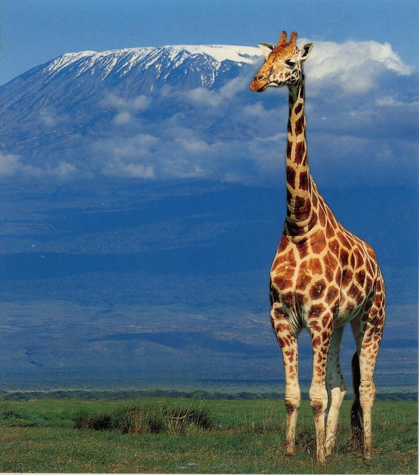 Фото Гора Килиманджаро в Танзании