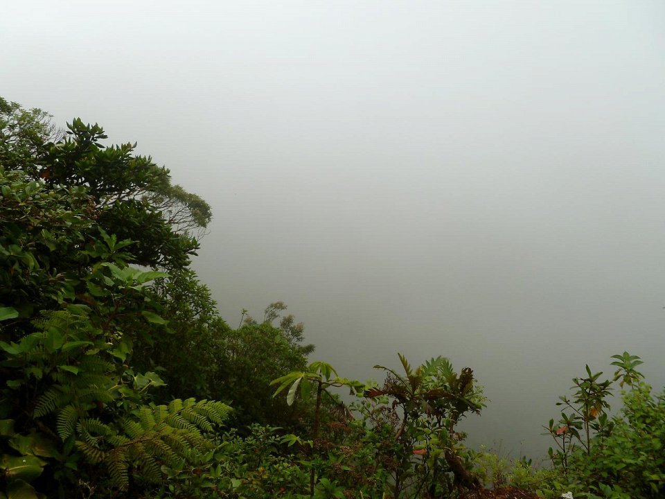 Фото Туманные леса Коста-Рики
