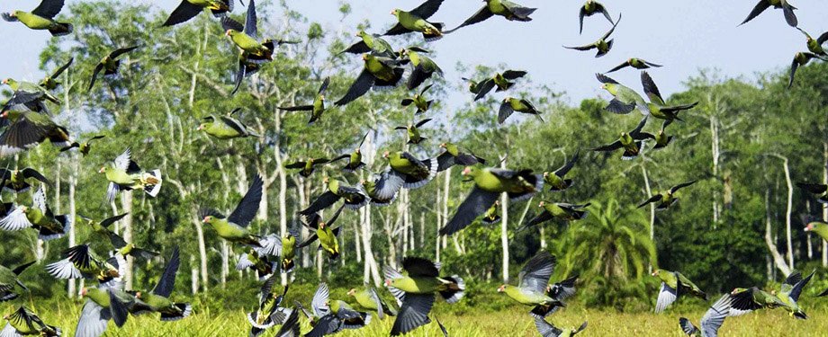 Восстановление