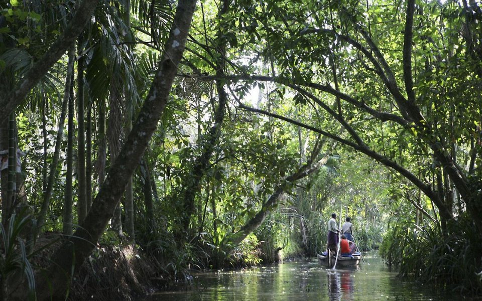 На лодке по болоту