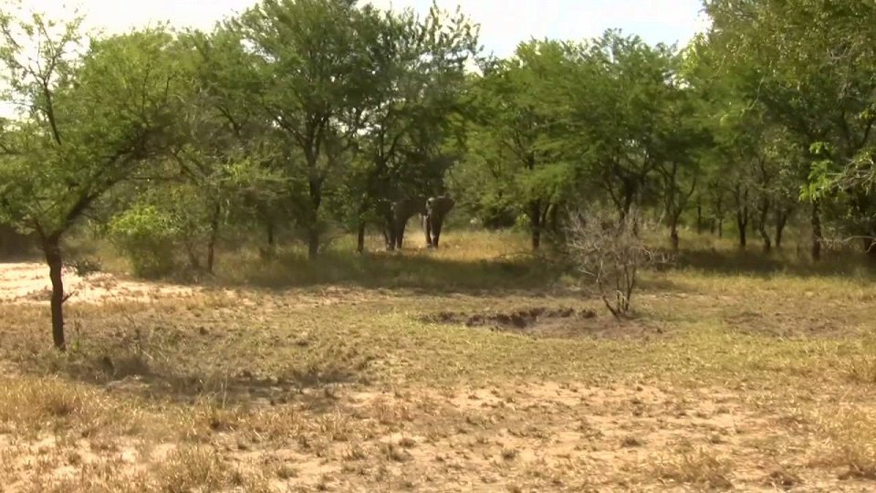 1200 видов биоразнообразия