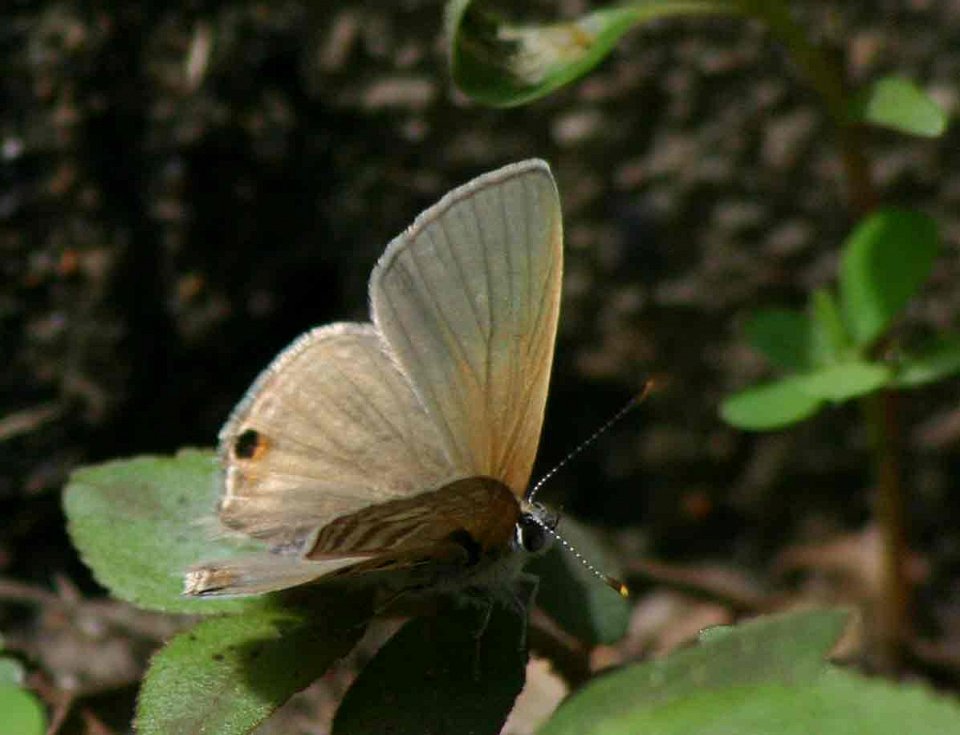 Находки в цифрах