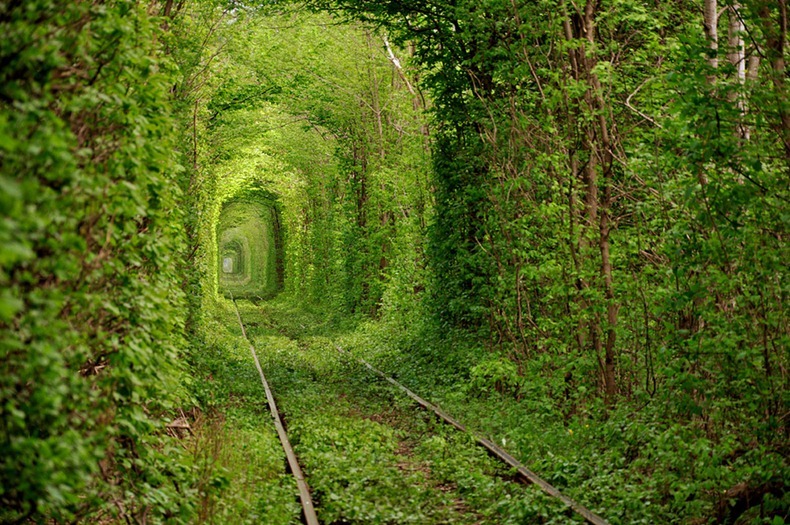 Фото Тоннель любви, Клевань, Украина 