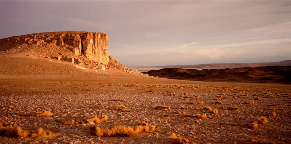 Фото Пустыня Атакама, Север Чили