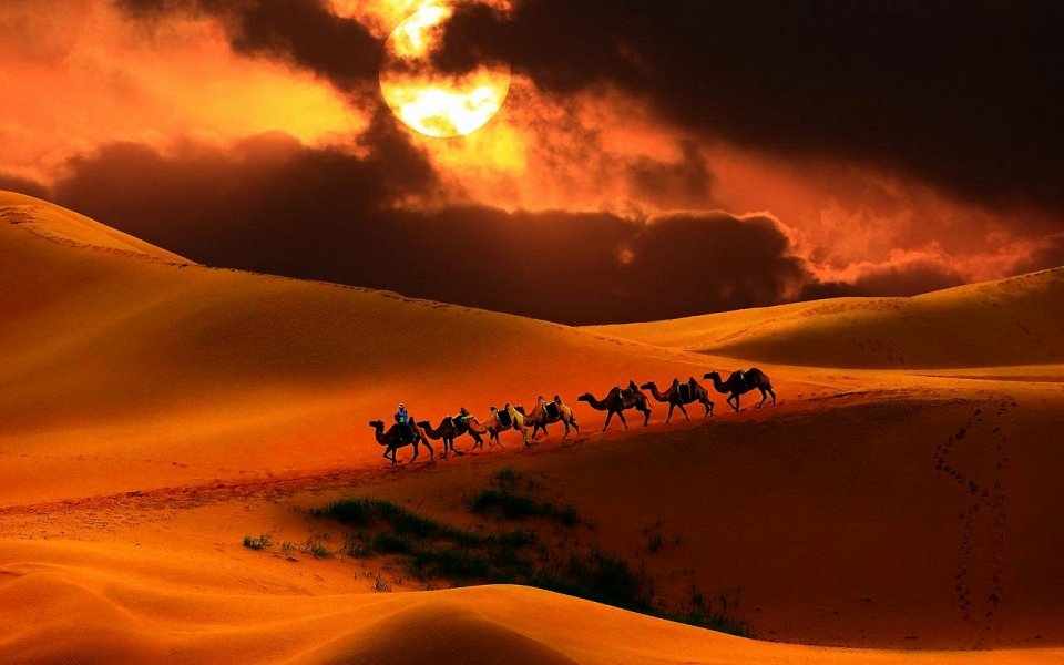 Фото Пустыня Гоби, Монголия 