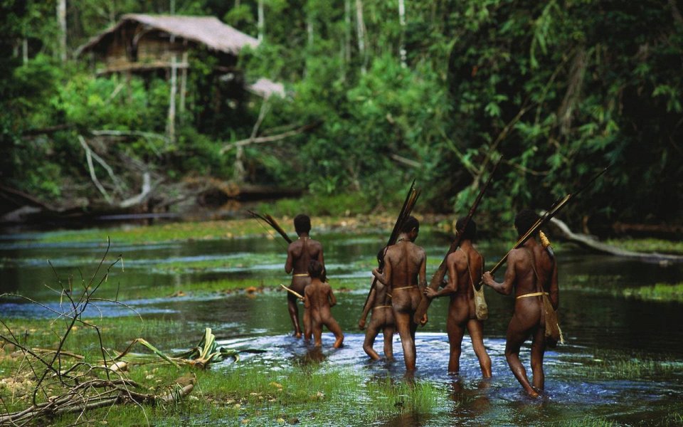 Фото Племя Комбаи, Новая Гвинея