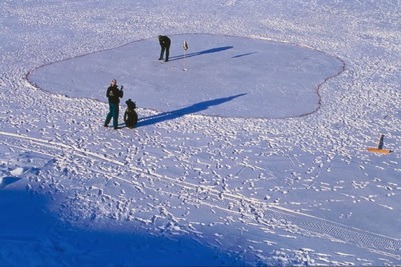 Фото Поле для гольфа Uummannaq в Гренландии