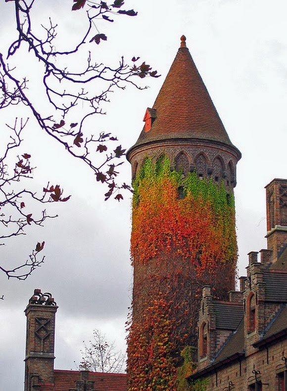 Фото Башня плюща, Бельгия