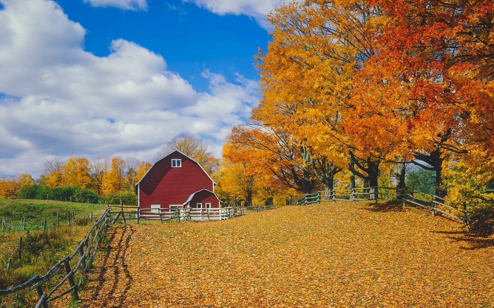 Фото Осенние цвета Новой Англии