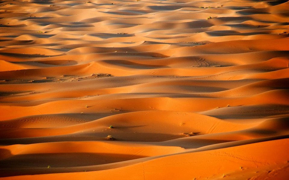 Фото Пустыня Сахара
