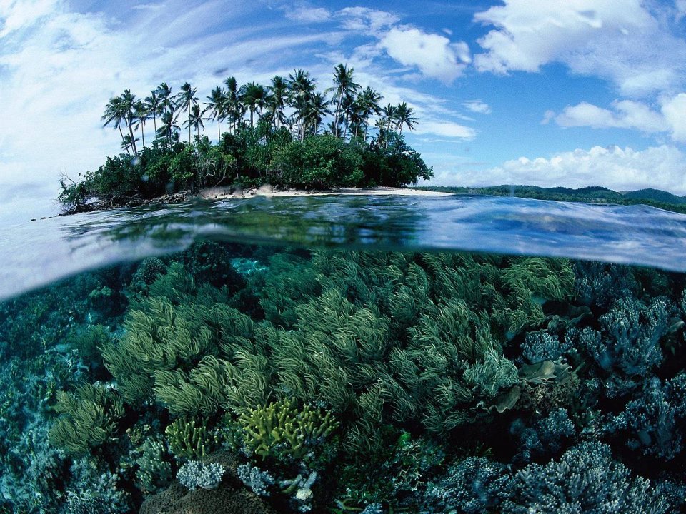 Фото Новая Гвинея