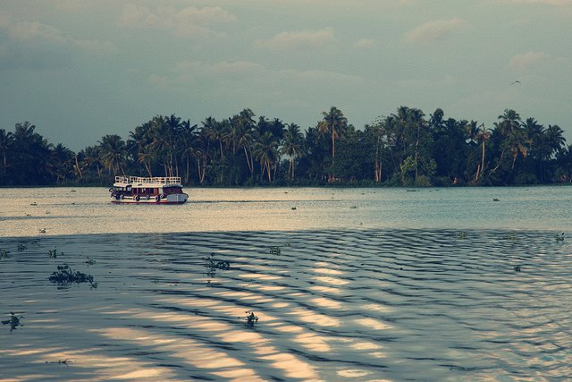 Фото Круиз по болотам Кералы