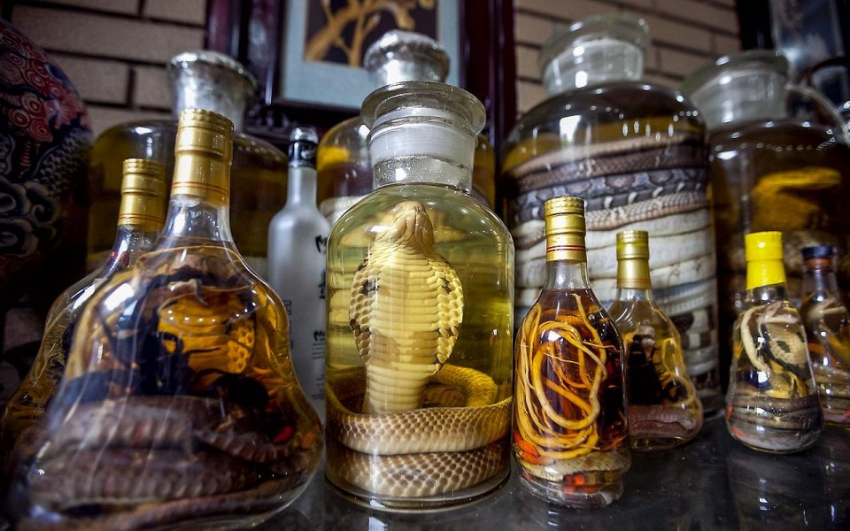 Фото Змеиное вино во Вьетнаме