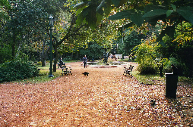 Фото Ботанический сад Буэнос-Айреса