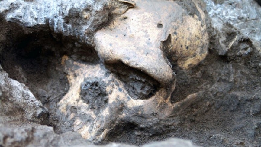 Фото Старейший череп человека
