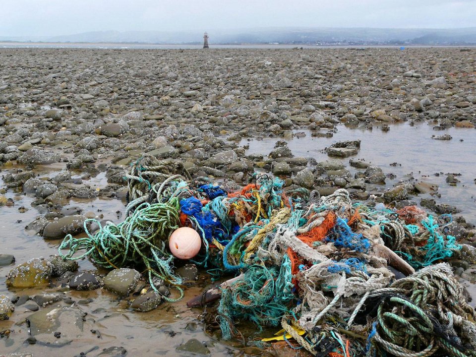 Фото Скопление мусора в океане