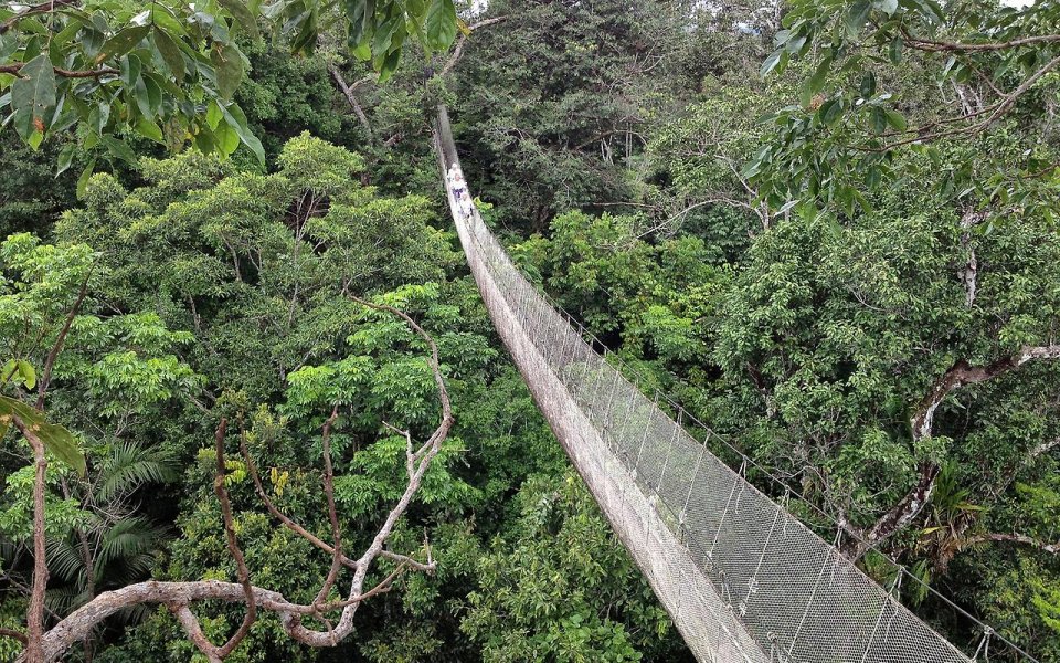 Фото Вид на джунгли Перу