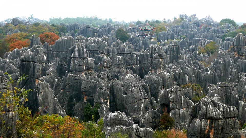 Фото Каменный лес в Китае