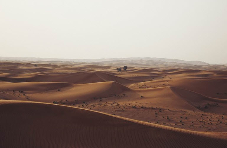 Фото Пустыня Гоби