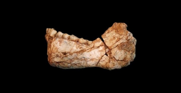 Фото Старейшие окаменелости человека