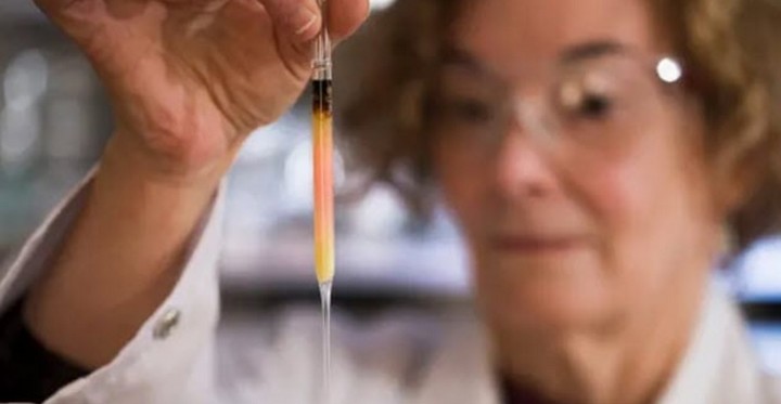 Фото Самый старый биологический цвет