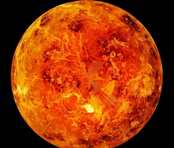 Фото Они не зависят от воды