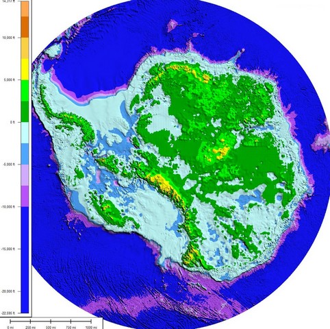 Фото Антарктида станет зелёной