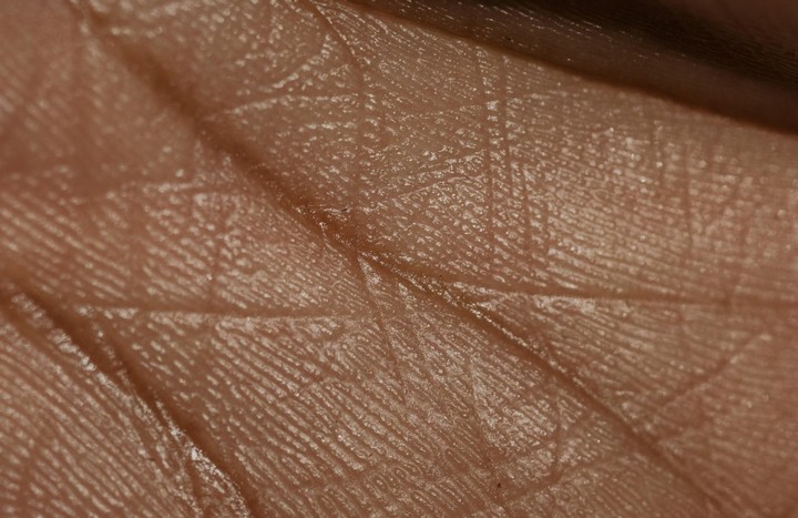 Фото Мебель и одежда из человеческой кожи