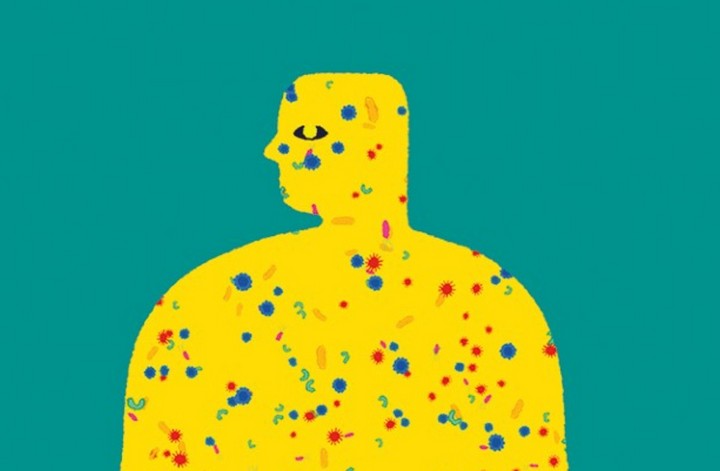 Фото Кожа как дом для целой экосистемы