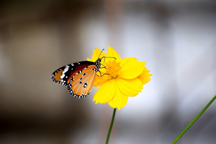 Фото Помощь в мониторинге изменения климата