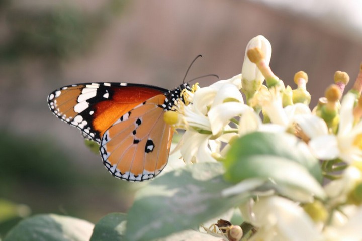 Фото Помощь в технологических прорывах