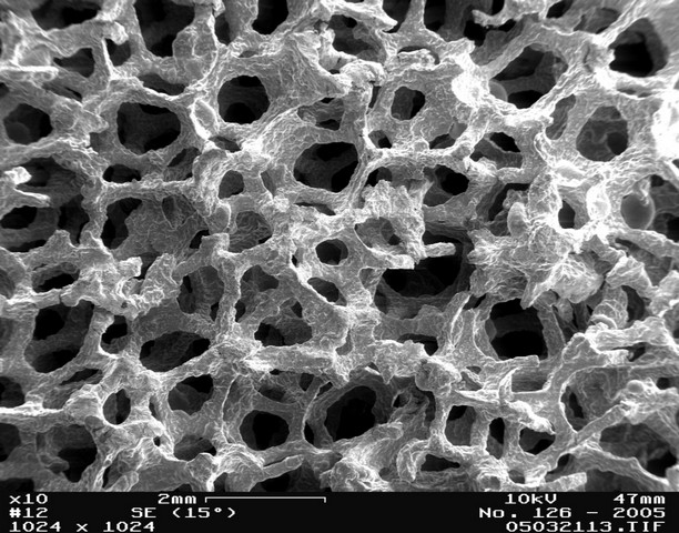 Фото Квантовая пена