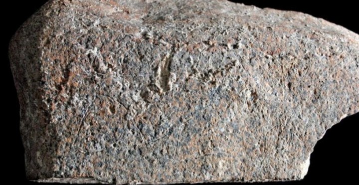 Фото Бунтарь эпохи палеолита