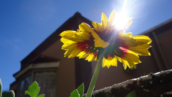 Фото Ваше настроение улучшается